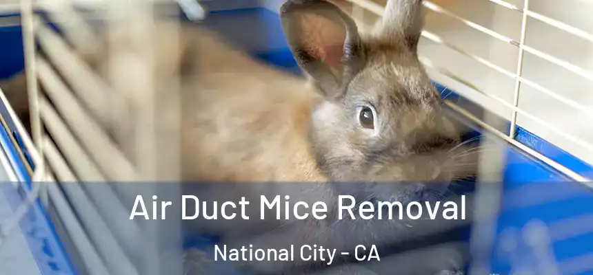 Air Duct Mice Removal National City - CA