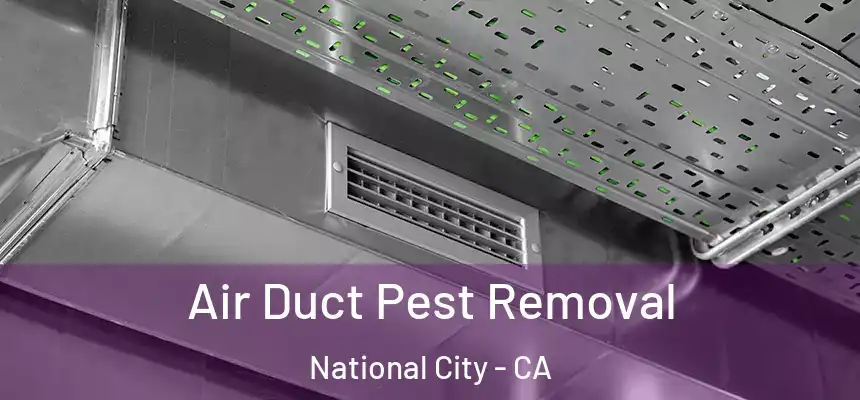 Air Duct Pest Removal National City - CA