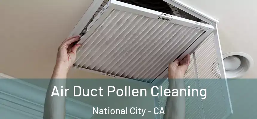 Air Duct Pollen Cleaning National City - CA