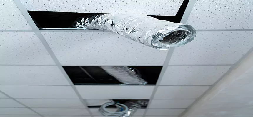 Our Air Duct Pet Hair Removal Services in National City, CA