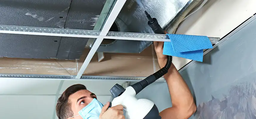 Our Air Duct Rodent Removal Services in National City, CA