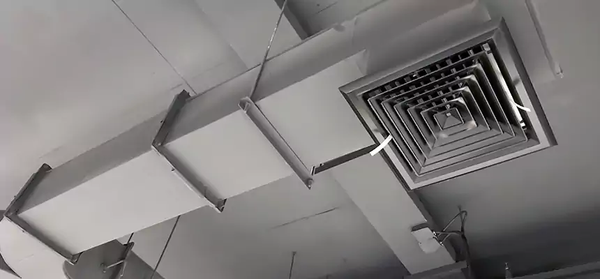 Restorative Allergy Relief Vent Cleaning – Coil, Blower & Housing Detail in National City