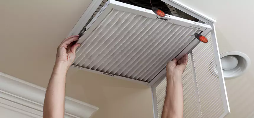 Our Insect Removal from Air Ducts Services in National City, CA