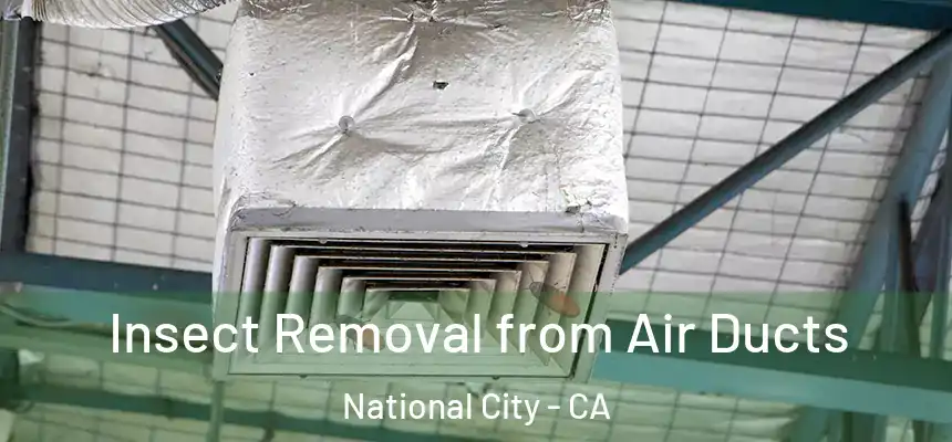  Insect Removal from Air Ducts National City - CA