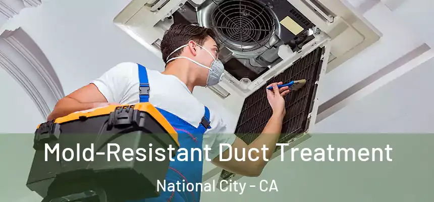  Mold-Resistant Duct Treatment National City - CA