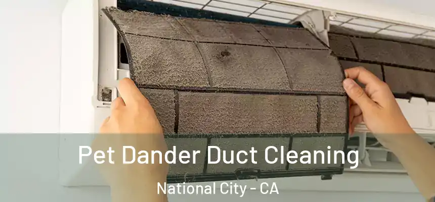  Pet Dander Duct Cleaning National City - CA