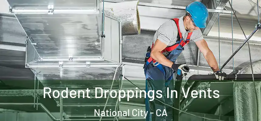  Rodent Droppings In Vents National City - CA