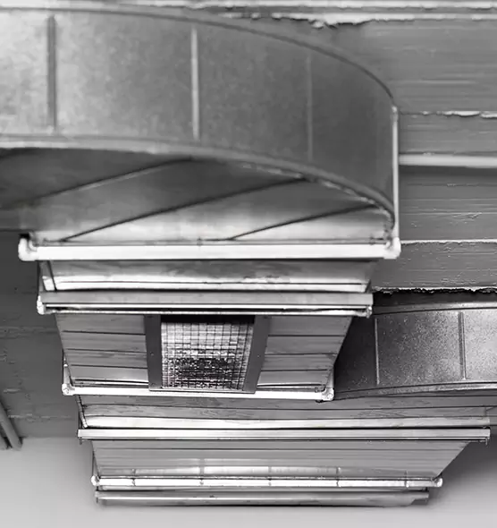 Professional Air Duct Pest Removal in National City, CA