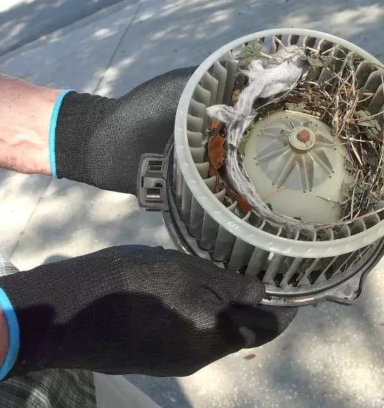 About Air Duct Rat Removal in National City, CA