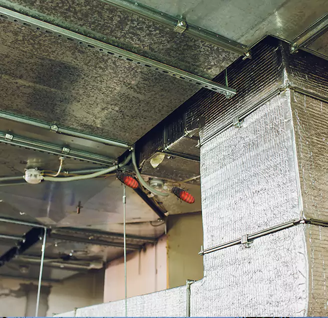 Why Homeowners & Businesses Trust Us in National City, CA?