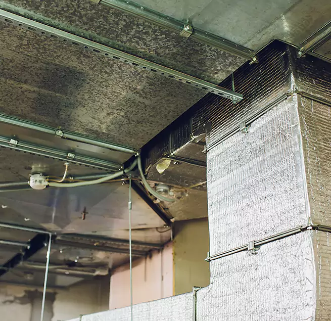 Why Homeowners & Businesses Trust Us in National City, CA?